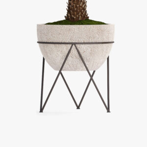 Decorative palm - immagine 3