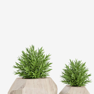 Concrete pots - immagine 5